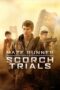 Nonton Film Maze Runner: The Scorch Trials (2015)