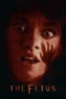 The Fetus (2025) The Fetus (2025)